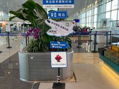 -青岛胶东国际机场