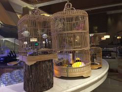 点击看大图 -英芬国际月子中心(岛屿度假月子·洲至奢选香岚店)