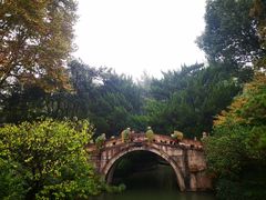 -上海醉白池公园