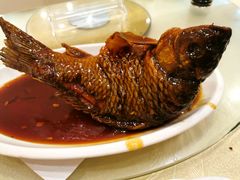 挣蹦鲤鱼-奥华餐厅·老张记(台基厂店)
