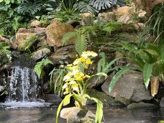 -华南国家植物园-售票处