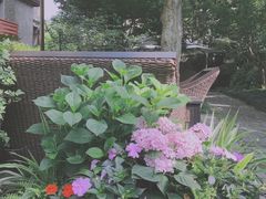 -星巴克臻选(思南公馆店)