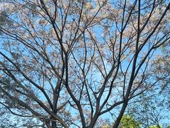 -白塘生态植物园
