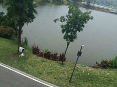 -枫香湖儿童公园