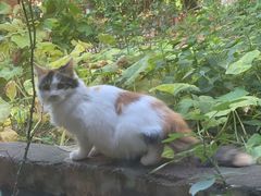 -天津东丽湖风景区