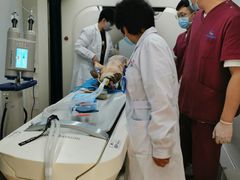 -北京观赏动物医院·24小时大型综合·猫专科·异宠专科