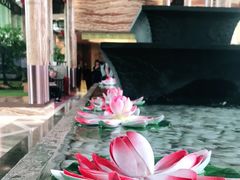 -台山颐和温泉城