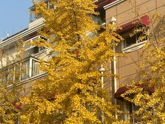 -家乐福(古北店)