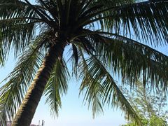 -玫瑰海岸文化旅游度假区