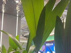 -探窝·竹笙椰子鸡(杨箕店)