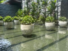 -三亚太阳湾柏悦酒店