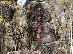 -汤旺河林海奇石景区