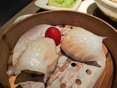 -茶港·点心·啫啫煲(王府井店)