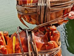 -阳澄湖半岛旅游度假区