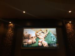 -深圳维景酒店-维景轩