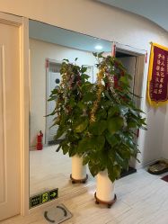 -贝美佳产后修复中心