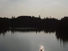 -白鹭湾湿地公园