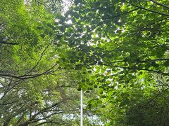 -Again Coffee Roaster(香蜜湖店)