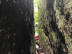 -汤旺河林海奇石景区