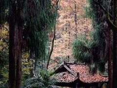 -青城山