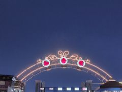 -武汉知音号