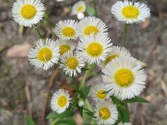 -华东政法大学(松江校区)