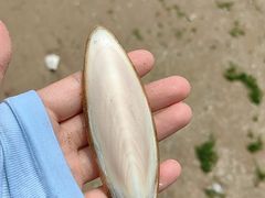 -银滩滨海旅游度假区