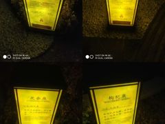 -大连金石滩绿发温泉假日酒店