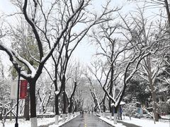 -山东大学(趵突泉校区)