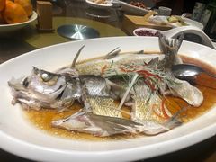 翘嘴鲌鱼-丹江渔村(望京店)