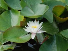 -苏州香山国际大酒店