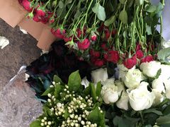 -三圣花乡旅游区