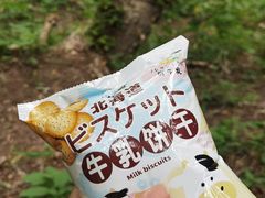 -灵山