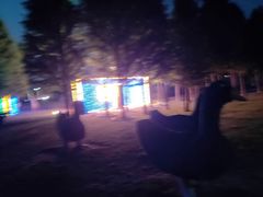 -羊亭河湿地公园