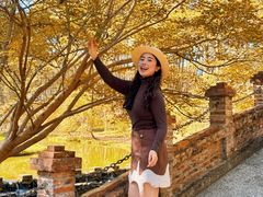 -田野绿世界
