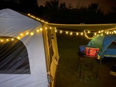 -春花秋色城市公园