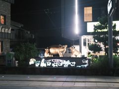 -Dombe豚(黑猪肉街店)