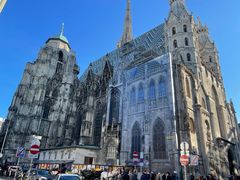 -斯蒂芬主教座堂(Stephansdom)