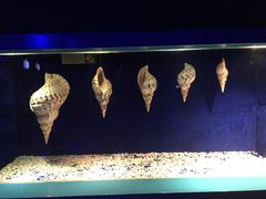 -大连圣亚海洋世界