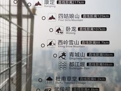 -339旋转餐厅(天府熊猫塔店)