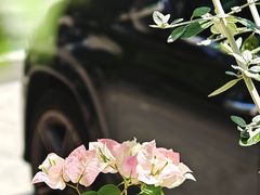 -Beans Solo豆号咖啡(百家湖花园店)