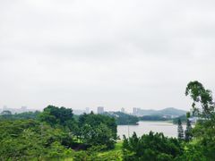 -隐秀山居酒店大堂吧