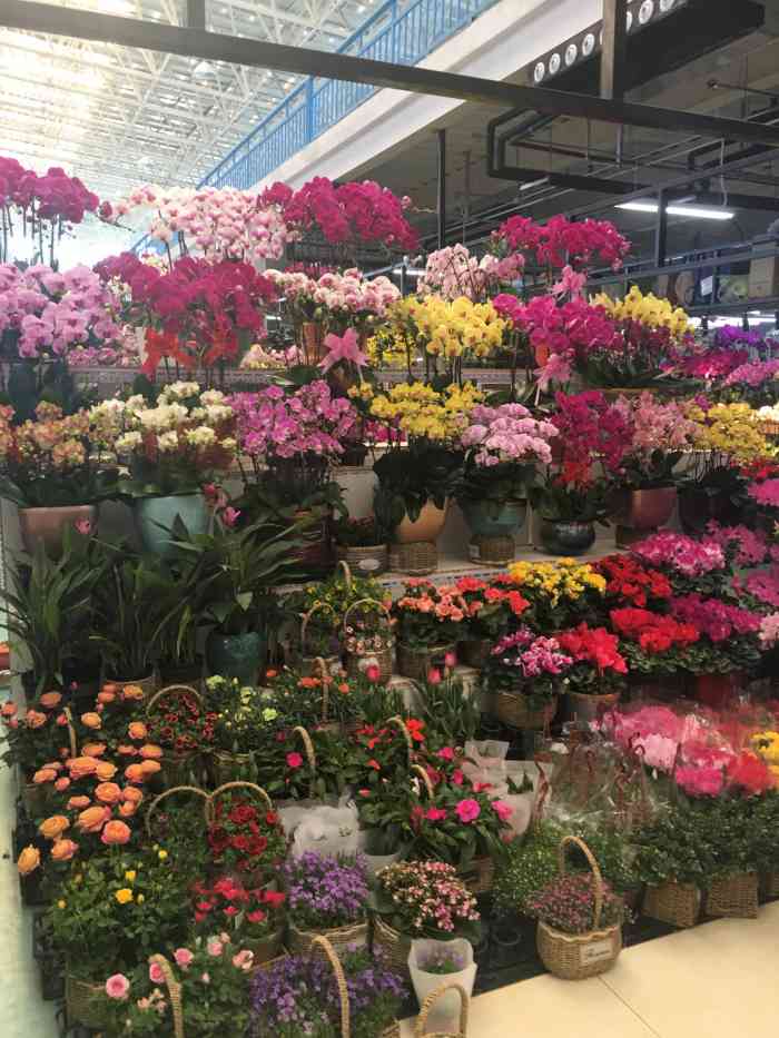 蟹岛国际花卉-"蟹岛里新开业的花卉市场,里面很宽敞,环境.
