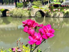 -韩湘水博园