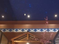 -桃园农庄烤全羊(江秋路店)