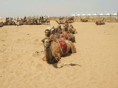 -亿利库布其七星湖沙漠生态旅游区