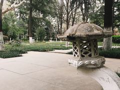 -木塔寺遗址生态公园