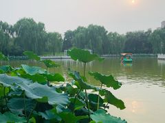 -丰台花园