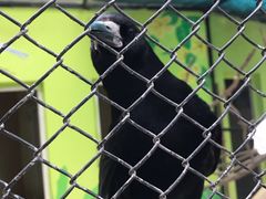 -荆州中山公园动物园