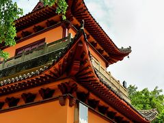 -铁山坪森林公园